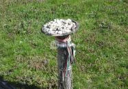 Radnóti abdai síremléke Abda