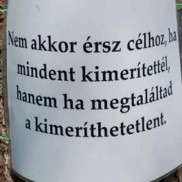 Radnóti abdai síremléke, Abda - Egyéb