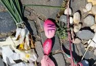 Radnóti Miklós emlékhely Győr