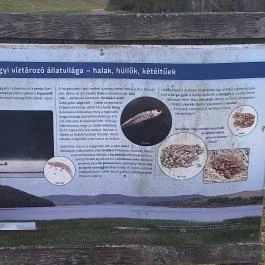 Rakaca-víztároló, Szalonna - Egyéb