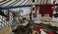 Rakamazi Teknősház Látogatóközpont Rakamaz - Belső