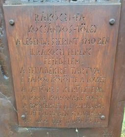 Rákóczi-emlékpark, Rákóczi fája