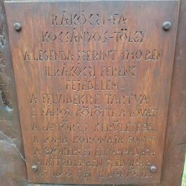 Rákóczi-emlékpark, Rákóczi fája, Parád - Egyéb