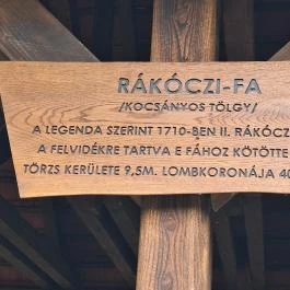 Rákóczi-emlékpark, Rákóczi fája, Parád - Egyéb