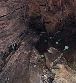 Rákóczi-emlékpark, Rákóczi fája