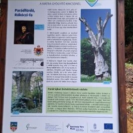 Rákóczi-emlékpark, Rákóczi fája, Parád - Egyéb