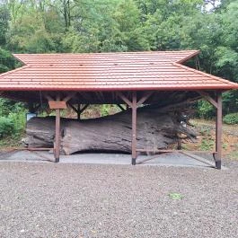 Rákóczi-emlékpark, Rákóczi fája Parád - Külső kép