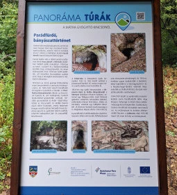 Rákóczi-emlékpark, Rákóczi fája