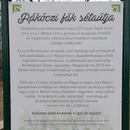 Rákóczi szilfa Balatonakarattya - Egyéb