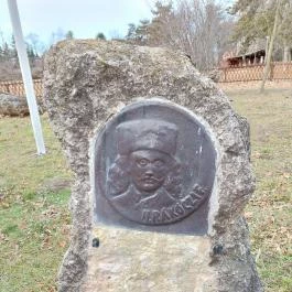 Rákóczi szilfa Balatonakarattya - Egyéb