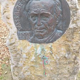 Rákóczi szilfa Balatonakarattya - Egyéb