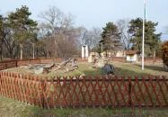 Rákóczi szilfa Balatonakarattya