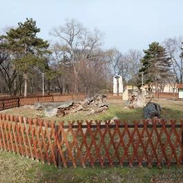 Rákóczi szilfa Balatonkenese - Külső kép