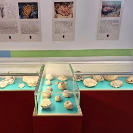 Ramassetter Látogatóközpont, Sümeg - Egyéb