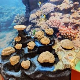 Ramassetter Látogatóközpont, Sümeg - Egyéb