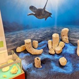 Ramassetter Látogatóközpont, Sümeg - Egyéb