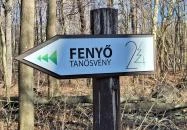 Rédei 24 Fenyő Tanösvény Réde