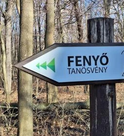 Rédei 24 Fenyő Tanösvény