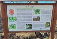 Rédei 24 Fenyő Tanösvény Réde