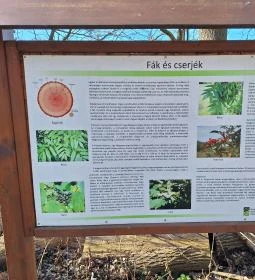 Rédei 24 Fenyő Tanösvény