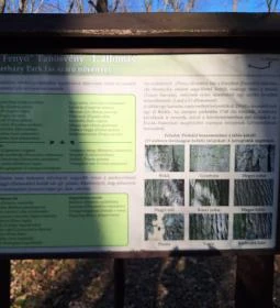 Rédei 24 Fenyő Tanösvény