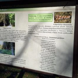 Rédei 24 Fenyő Tanösvény Réde - Egyéb