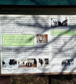 Rédei 24 Fenyő Tanösvény