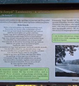 Rédei 24 Fenyő Tanösvény
