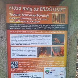 Rédei 24 Fenyő Tanösvény Réde - Egyéb