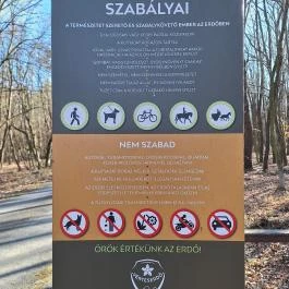 Rédei 24 Fenyő Tanösvény Réde - Egyéb