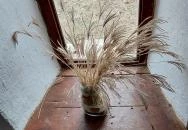 Református erdei kápolna Vaskút