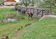 Református templom Csengersima