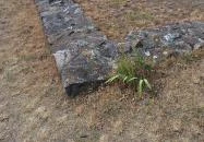 Református templom Zánka