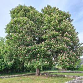 Református templom, Boldva - Külső kép