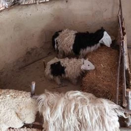 Régészeti Park Százhalombatta - Belső