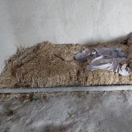 Régészeti Park Százhalombatta - Belső