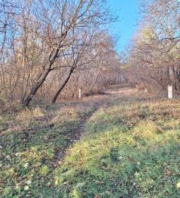 Régi torbágyi kálvária