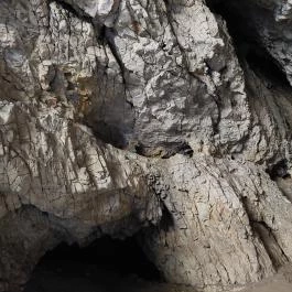 Remete-barlang, Remetesz?l?s - Belső