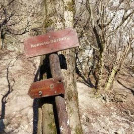 Remete-barlang, Remetesz?l?s - Egyéb