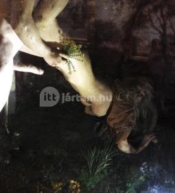 Reneszánsz Erotikus Panoptikum