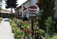 Aranyponty Halászcsárda Sáregres