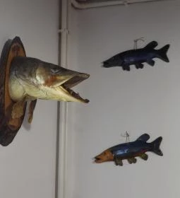 Aranyponty Halászcsárda