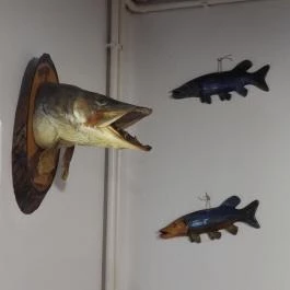 Aranyponty Halászcsárda Sáregres - Belső