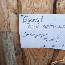 Rév Csárda, Érsekcsanád - Egyéb