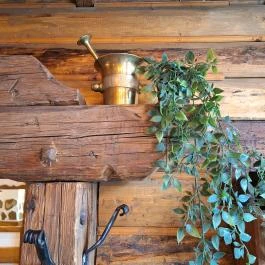 Rézmozsár Étterem Kiskunhalas - Egyéb