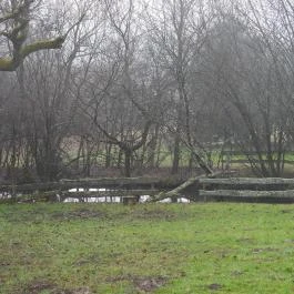 Rigó Vendégház Ôriszentpéter - Külső kép