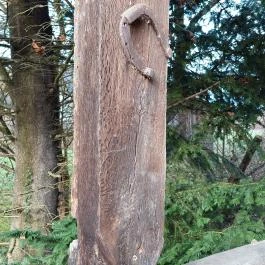 Rigó Vendégház Ôriszentpéter - Egyéb