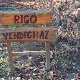 Rigó Vendégház Ôriszentpéter - Egyéb