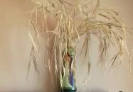 Rippl-Rónai Emlékház és Látogatóközpont Kaposvár