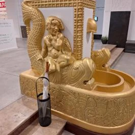 Robert Capa Kortárs Fotográfiai Központ, Budapest - Egyéb